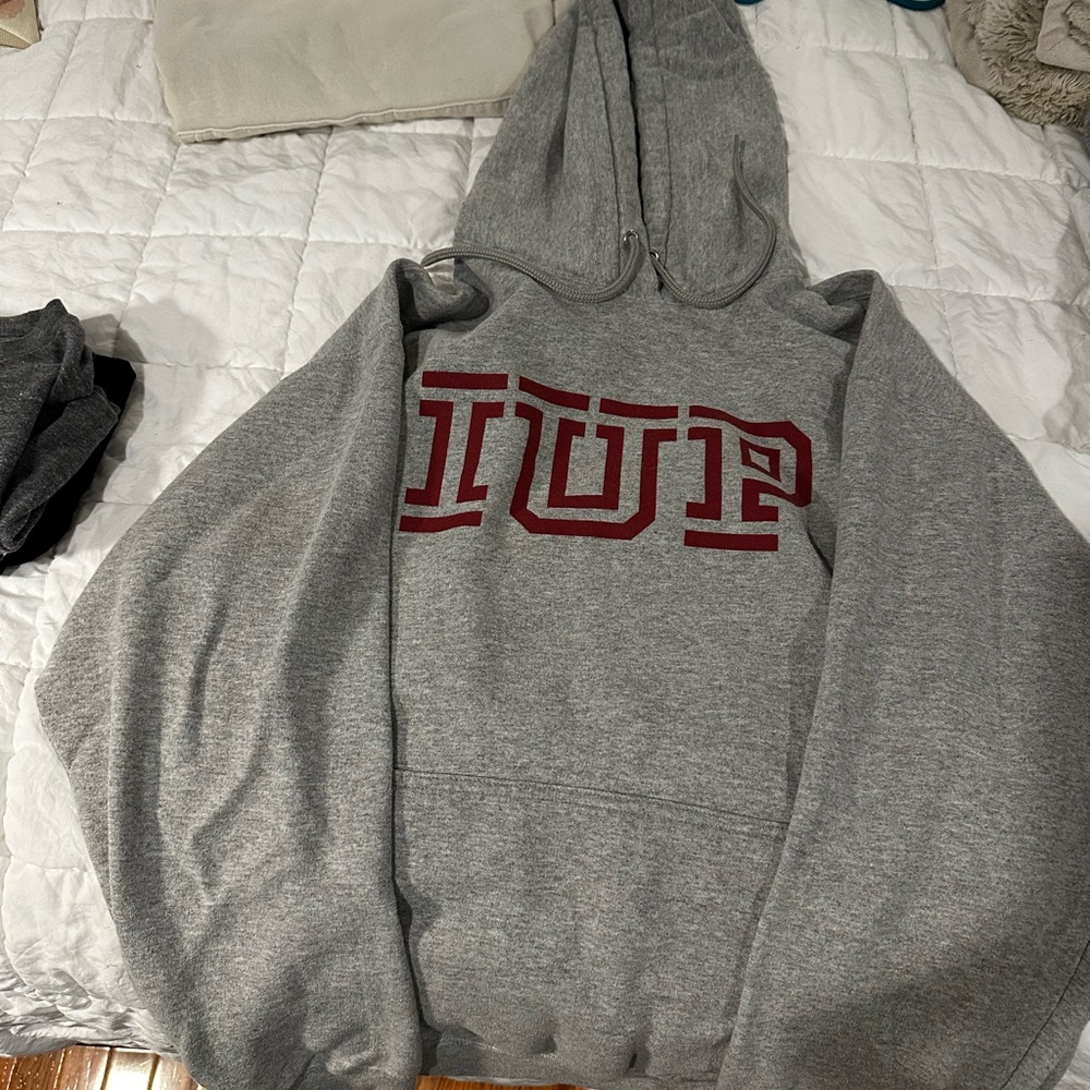 Gray Mens Hoodie Sweatshirt